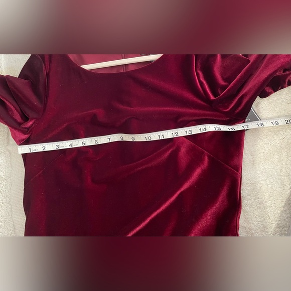 Sumptuous Burgundy Velvet Dress - Picture 10 of 11